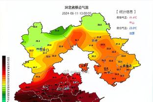 美记：绿军预计将会留下替补中锋科内特 他在队内有很多支持者